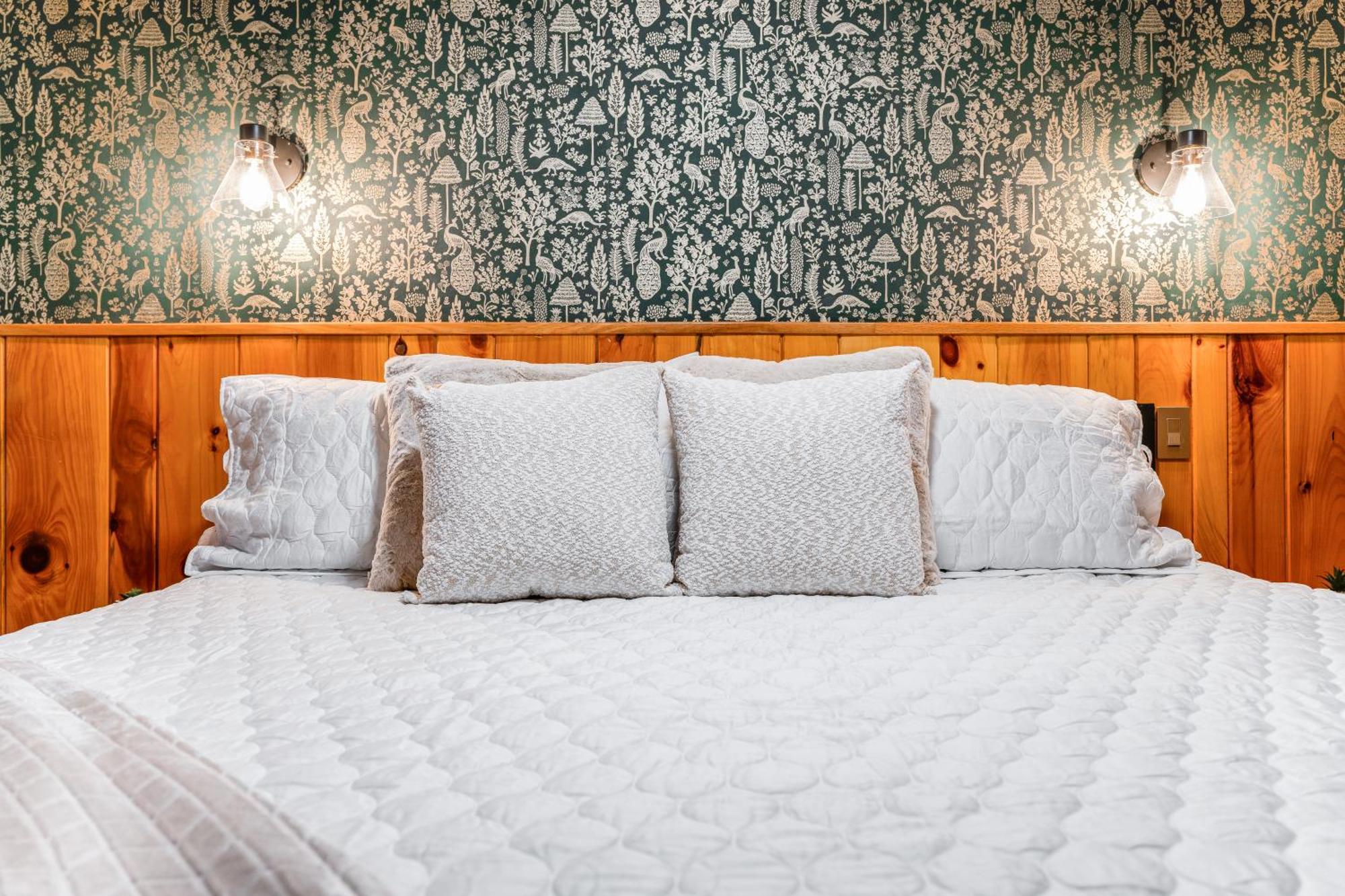 Seneca Rocks Seneca Pines Lodge المظهر الخارجي الصورة