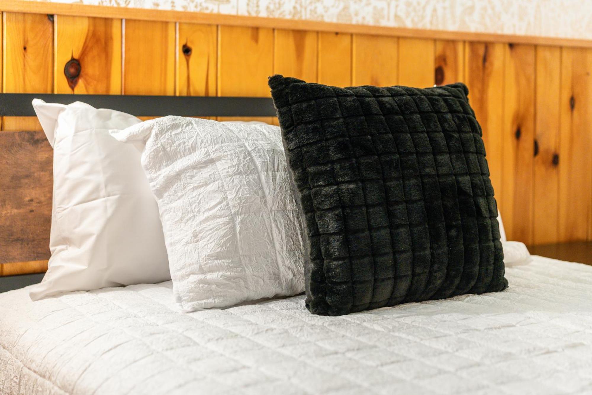 Seneca Rocks Seneca Pines Lodge المظهر الخارجي الصورة