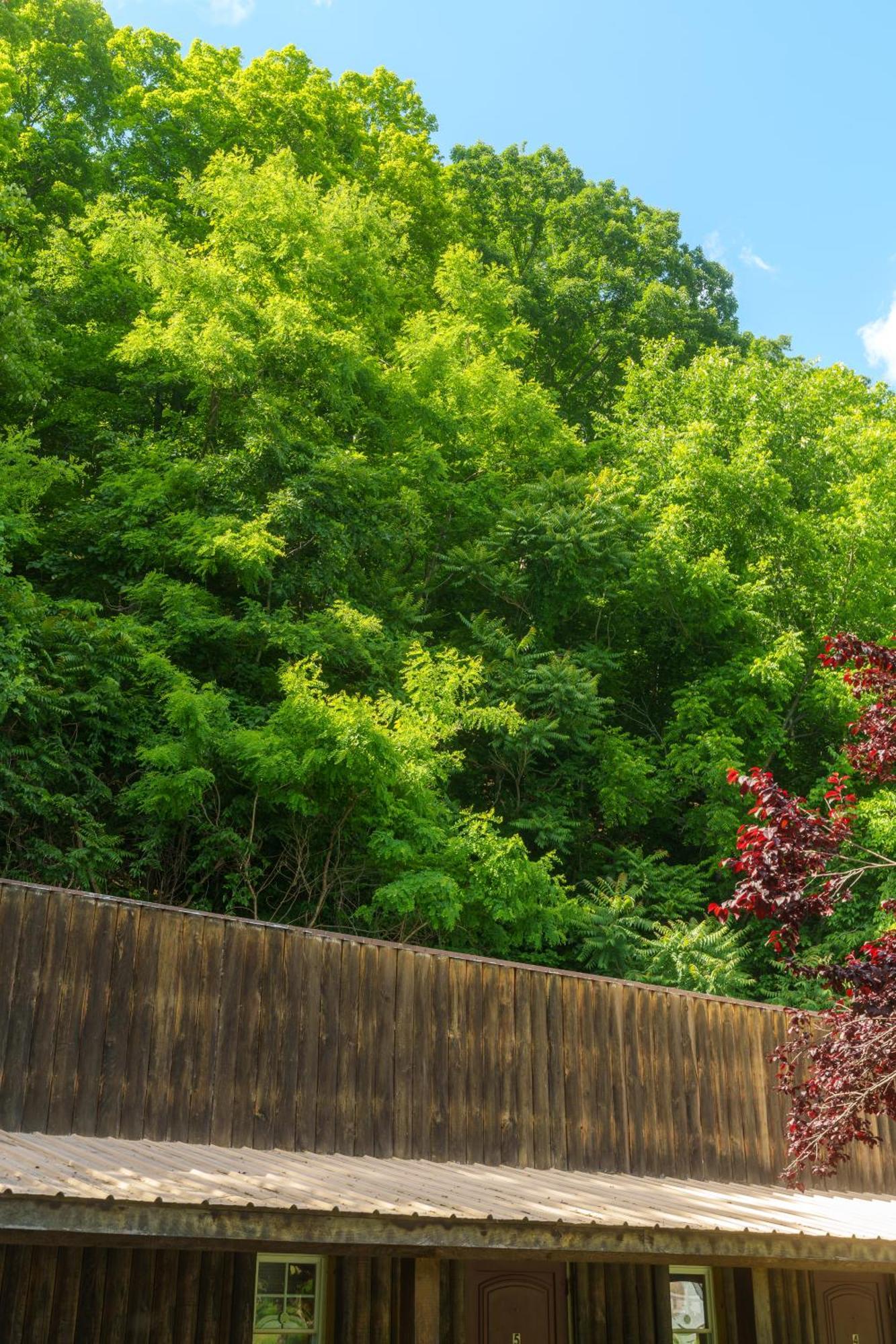 Seneca Rocks Seneca Pines Lodge المظهر الخارجي الصورة